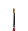Кисть Roubloff 301T Master