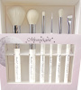Набор кистей Roubloff для макияжа Moonlight M061ml